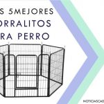 Corralitos para perro